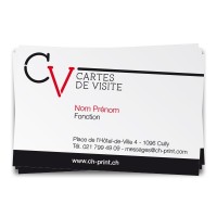 Cartes de visite standard